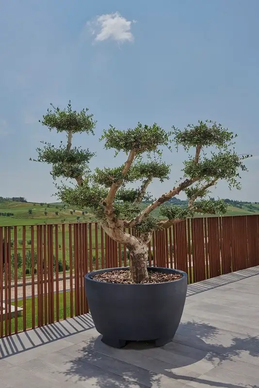 Jardinera-resina-redonda-megalos-98x59